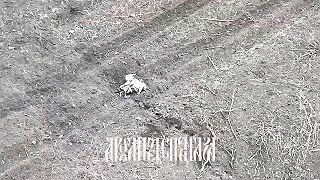 Zmasakrované ukrajinské jednotky vo "výhodnejších pozíciach" 18+ (jatka)