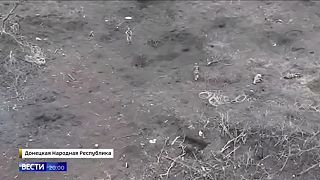 Ukrajinskí fašisti popravili vlastných vojakov, ked sa chceli vzdať rusom!