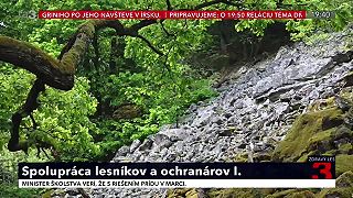 Spolupráca ochranárov a lesníkov Poľana. Časť 1