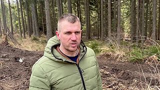 Veľké výruby stromov v TANAPe