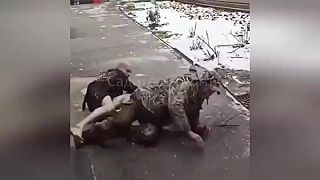 Rozcvička a otužovanie sú základom dobrej morálky