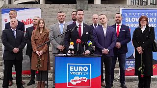 Kandidátka vlasteneckých síl do Europarlamentu