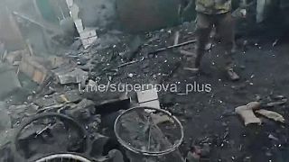 Problém s inváznym druhom v pivnici