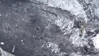 Ruská paštika
