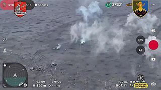 Straty okupantov pri Robotyne