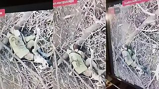 Kapitulácia s bonusom?