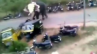 Slon už mal sprievodu plný chobot, začal demolovať motorky a tuk-tuky (India)
