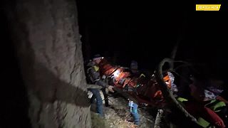 Vyjadrenie envirorezortu a horského záchranára k medveďovi v Demänovskej Doline