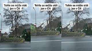 „Co jsem říkal, vole!“ dvaja českí mozgonauti spiľovali veľký strom z lešenia