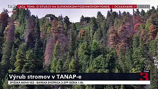 Výrub stromov v TANAPe. Erik Baláž dostal drsnú nakladačku od skúseného experta