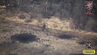 Okupanta prenasledoval kamikadze dron