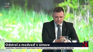 Eliminácia medveďa v Liptovskom Mikuláši. Novela ústavy