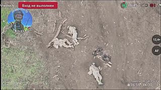Zabití vojaci ukrajinských ozbrojených síl v smere na Záporožie