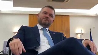 Pellegrini potvrdil, že nie je homosexuál