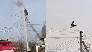 Známy vták dostal lekciu