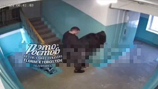 Rusov pri radovánkach vyrušil zvedavý sused