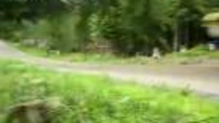 WRC Rally Finland