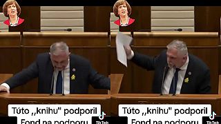 Sranie, Grganie, Onanovanie (Progresívne umenie)
