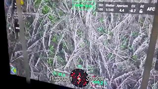 Golfový vozík vs FPV-čko
