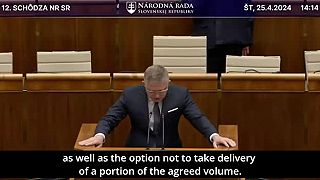 Zistenia NKÚ o bačovaní Hegerovej vlády