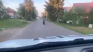 Šokujúce video s medveďom v našom kraji!