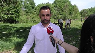 Len kúsok od detí. Medveď pobehoval pri ohrade s koňmi