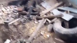 Robotyne, cintorín okupantov