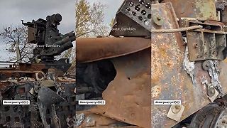 Bojové vozidlo Stryker vo svojej prirodzenej polohe