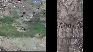 Putin Chujlo kompilácia #06