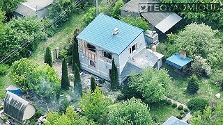 Invázny druh sa nasťahoval do cudzieho domu