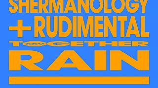 Todd Edwards, Shermanology & Rudimental - Rain