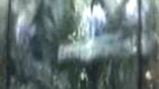 Avatar trailer 3