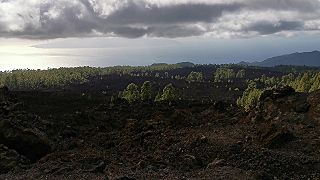 Prírodný park Corona Forestal - výhľad na ostrov La Gomera
