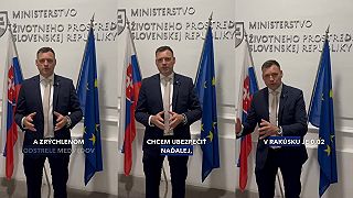 Taraba poriešil medvede