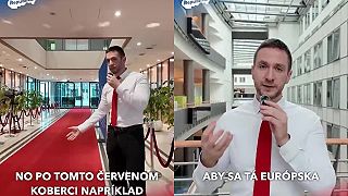 Bruselské bizarnosti
