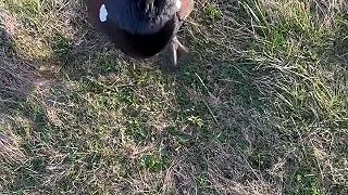 Prvý krát v dejinách sa stal štátny tajomník, ktorý videl hlucháňa naživo