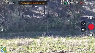 Noční vlci na spanilej jazde po Ukrajine