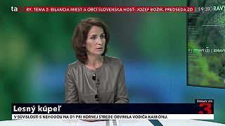 Lesný kúpeľ. Meditácia v lese