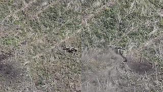 Okupant strieľa na dron