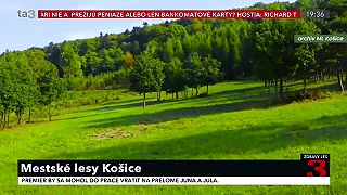Mestské lesy Košice