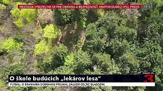Prečo ísť študovať na strednú lesnícku školu?
