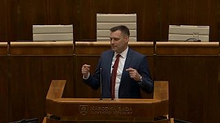 Korupcia: partner exministerky Kolíkovej dostal vysokú úradnú funkciu