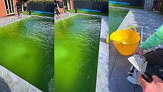 To čo máš za zelenú vodu v bazéne? Neboj sa, zavoláme odborníka!