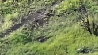 PVO lopata