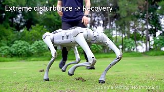 Robotické psy od čínskej spoločnosti Unitree dokážu šialené kúsky