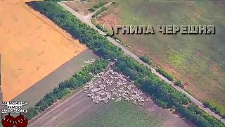 Zoskupenie okupantov zasypala kazetová munícia