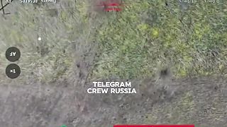 Lov ukrajinských dronov pomocou siete