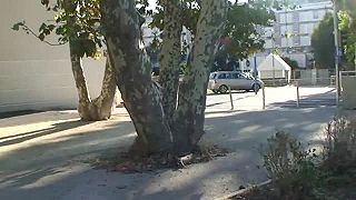 URBAN_RASET_REMI_GAILLARD