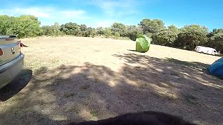 GRIZZLY (REMI GAILLARD)