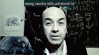 Prečo je mozog elektromagnetický